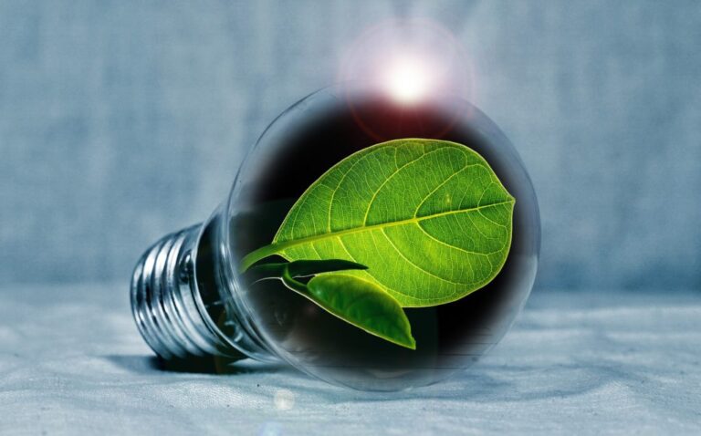 la-chaudiere-electrique-est-elle-ecologique